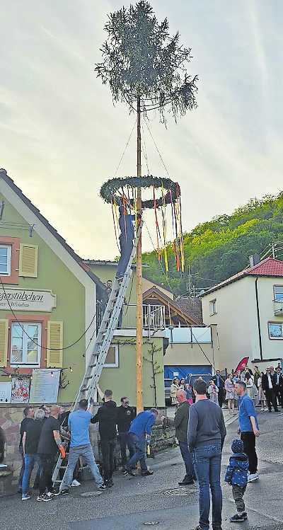 Das Aufstellen des Maibaums kann eine knifflige Angelegenheit sein. FOTO: EVA BENDER