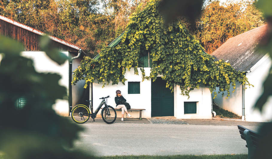 Sommerliche Rast im Weinviertel Foto: Romeo Felsenreich