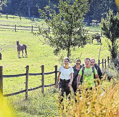 Auch Wanderfreunde kommen im Kreis Kleve auf ihre Kosten. FOTO MARKUS VAN OFFERN