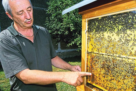 Besuch beim Imker in der Weinidylle. Fotos: RMB GmbH/ARGE Naturparke