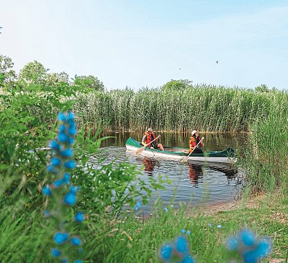 Ein purer Genuss für alle Naturliebhaber ist eine geführte Kanufahrt auf der Raab. Foto: Burgenland Tourismus/Nadine Kreyska