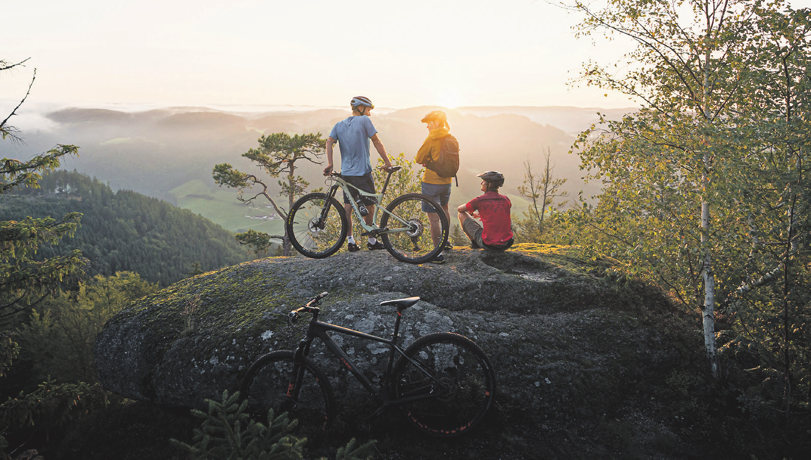 Mountainbiken auf der Mühlviertler Alm Foto: OŎ Tourismus/Mühlviertler Alm Freistadt/M. Ablinger