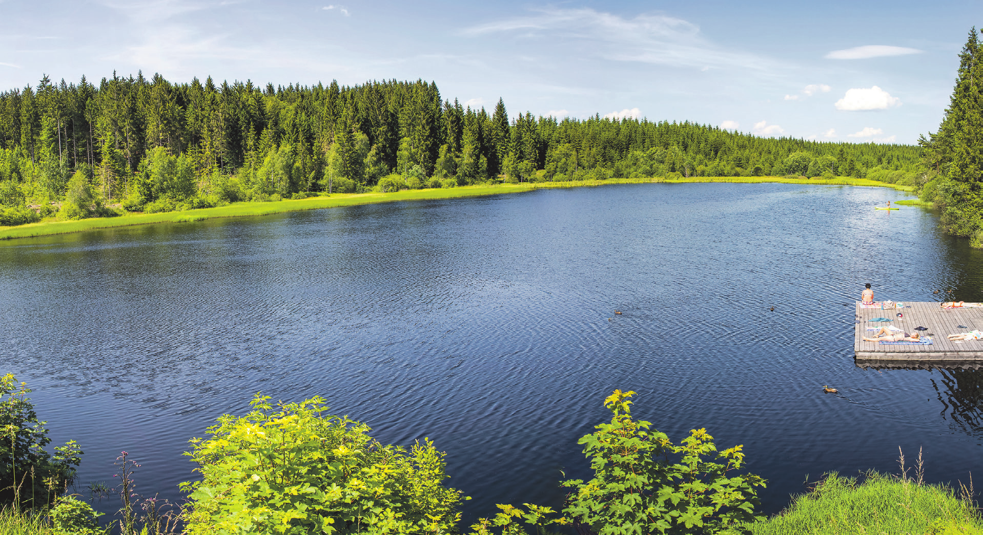 Rubner Teich im Naturschutzgebiet Tannermoor Foto: FotoGrafik bruno haneder