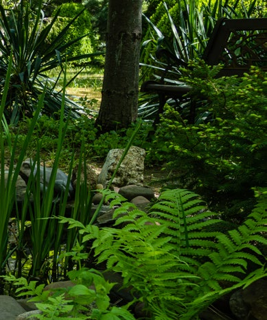 Idealerweise liegt der Gartenteich in einem schattigen Bereich. Wenn das nicht möglich ist, sollte man ihn mit einem Sonnensegel beschatten. Foto: Aul Zitzke - stock.adobe.com