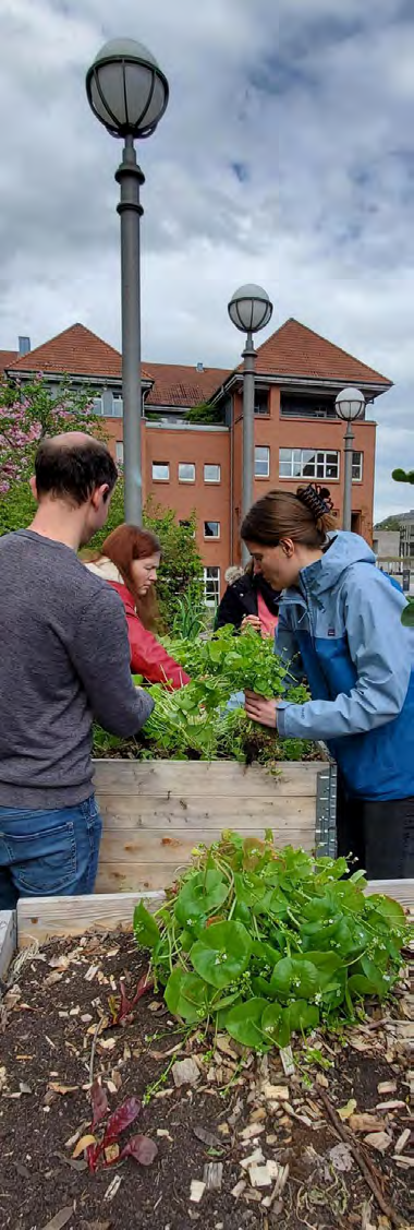 Eine Pflanzaktion der Hochschule zusammen mit dem NABU Foto: Hochschule Fulda