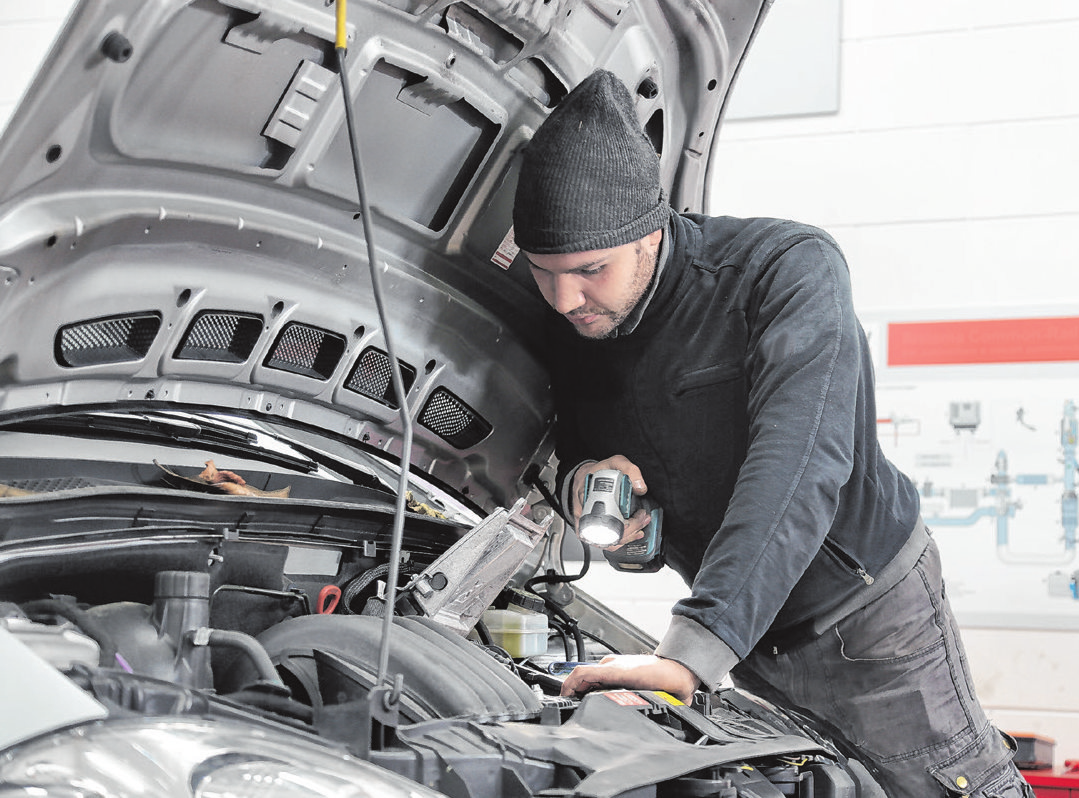 Azubis lernen praxisorientiert überwiegend in bundesweit anerkannten Ausbildungsberufen in Industrie und Handwerk oder in einer Verwaltung und nehmen außerdem am obligatorischen Unterricht in der Berufsschule teil.<br/>Fotos: Pexels, Pixabay