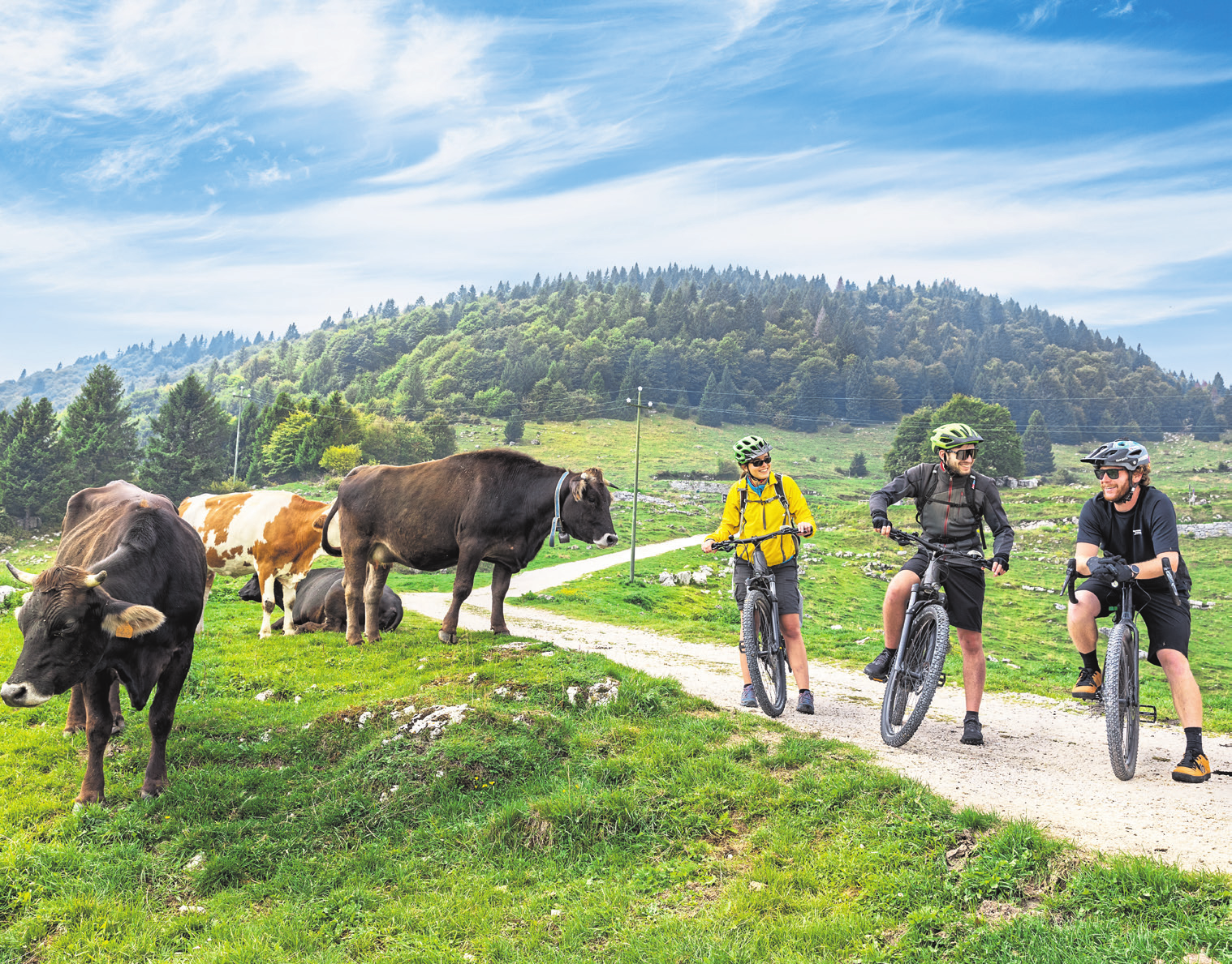 Venetien, die Region mit den erhabenen Dolomiten im Norden, Padua im Herzen und dem Po-Delta im Süden ist ein wahres Schmuckkästchen voller Schätze