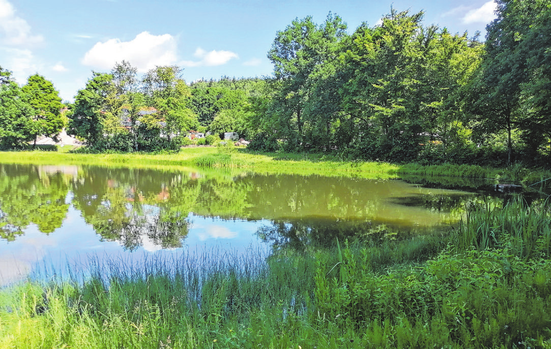 Im 2021 eingeweihten „Burk-Hof“ (Foto links) sind Wohn- und Gewerbeflächen untergebracht. Der idyllische Badeweiher findet viel Zuspruch.