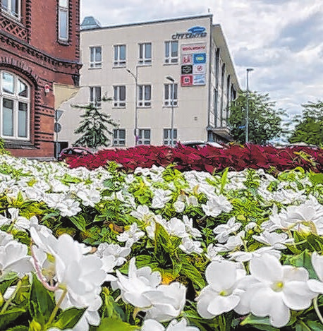 Über Blumen zum Rathenower City-Center geblickt, das am „Happy Friday“ - Freitag, 12. Juli 2024 - sozusagen zum Rabatt-Zentrum wird. Foto: Janett Alschewski