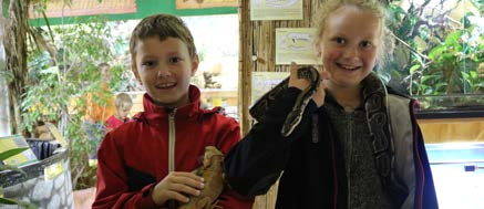 Der Reptilienzoo Allgäu hat Tiere nicht nur zum Anschauen - jedenfalls bei den Ferien mit der AZ. Denn an diesem Tag dürfen die Kinder auch das ein oder andere Reptil anfassen. Foto Daniel Dollinger