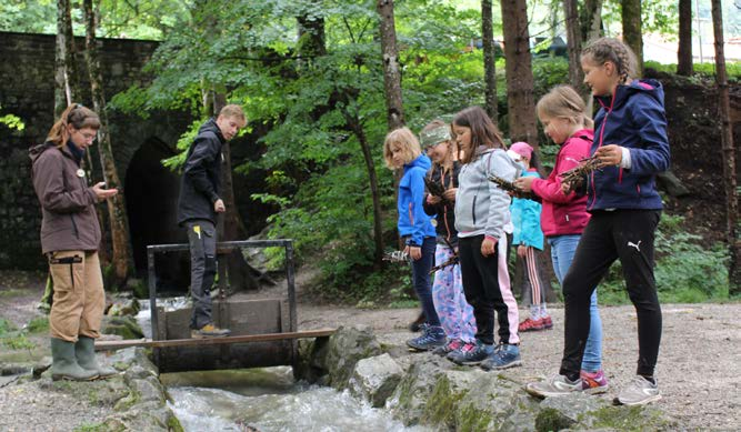 Im Walderlebniszentrum steht die Natur im Vordergrund. Es gibt viel zu entdecken, außerdem Spiele und einen Upcycling-Workshop. Foto: Alexandra Decker