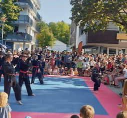 Eine Hapkido-Vorführung