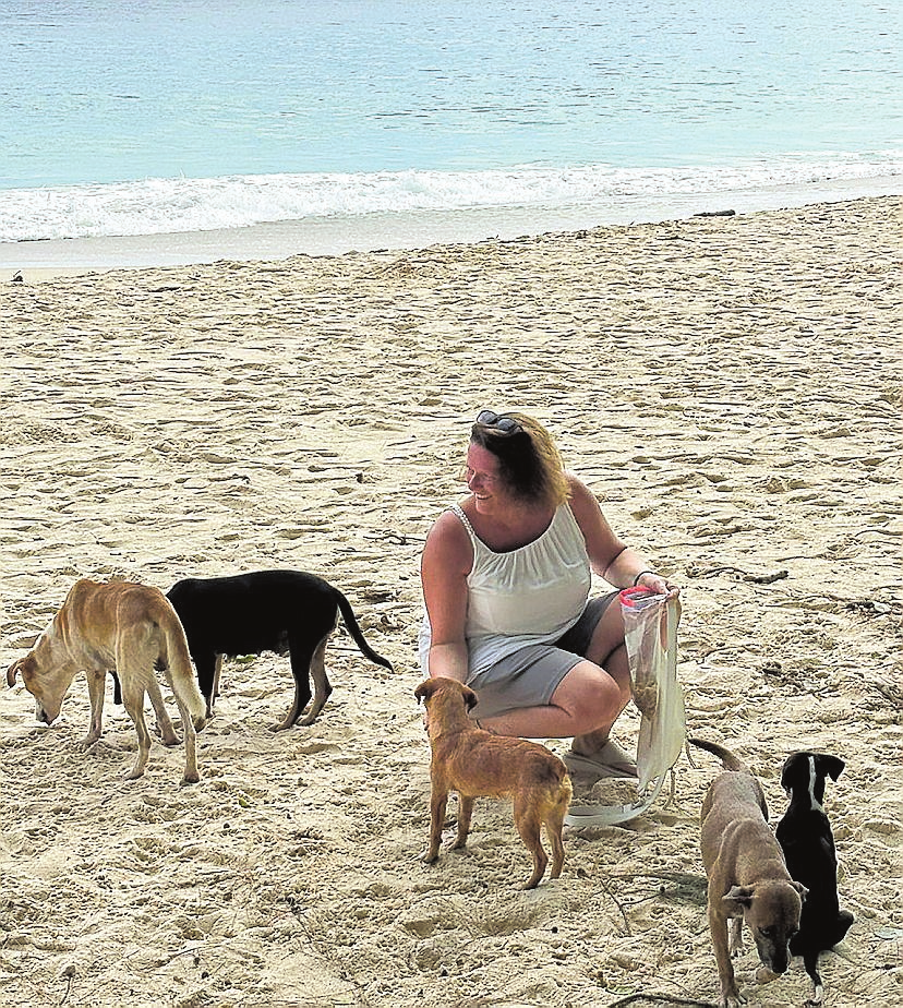 Alice Immick am Strand auf den Seychellen, sie ist von Straßenhunden umgeben. FOTO: PRIVAT