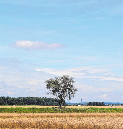 Ulm ist in Sichweite.