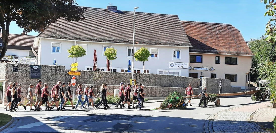 Die Ortsburschen und -madle tragen den Baum durchs Dorf.