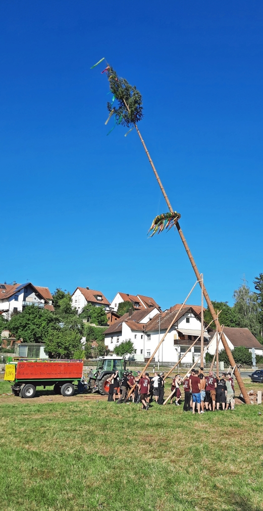 Der Kerwa-Baum in Falkendorf