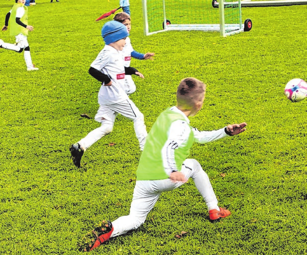 <span id="iiplx">Ebenso die Kleinsten - sie zeigen Fußball vom Feinsten. Fotos: Roswitha Häbe</span>