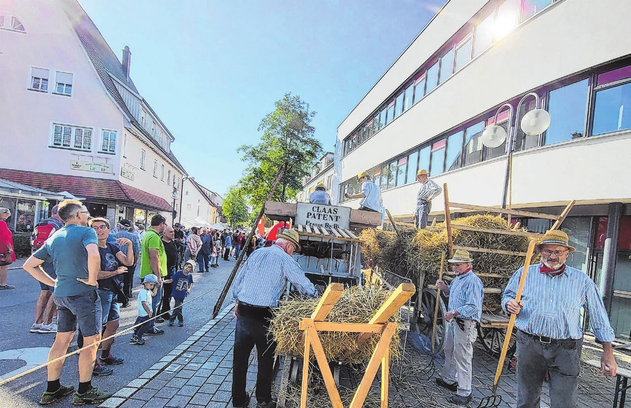 Impressionen vom Münsinger Biosphärenmarkt: An den Ständen gibt es jede Menge Schönes für Innen und Außen zu entdecken, außerdem erwartet die Besucher Leckeres aus der Region. Dreschvorführungen lassen in vergangene Zeiten eintauchen. Fotos: Maria Bloching