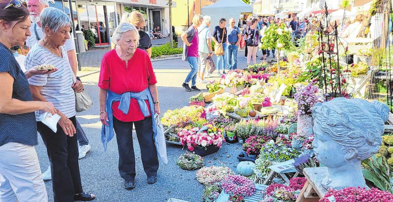 Blumen erfreuen das Herz.