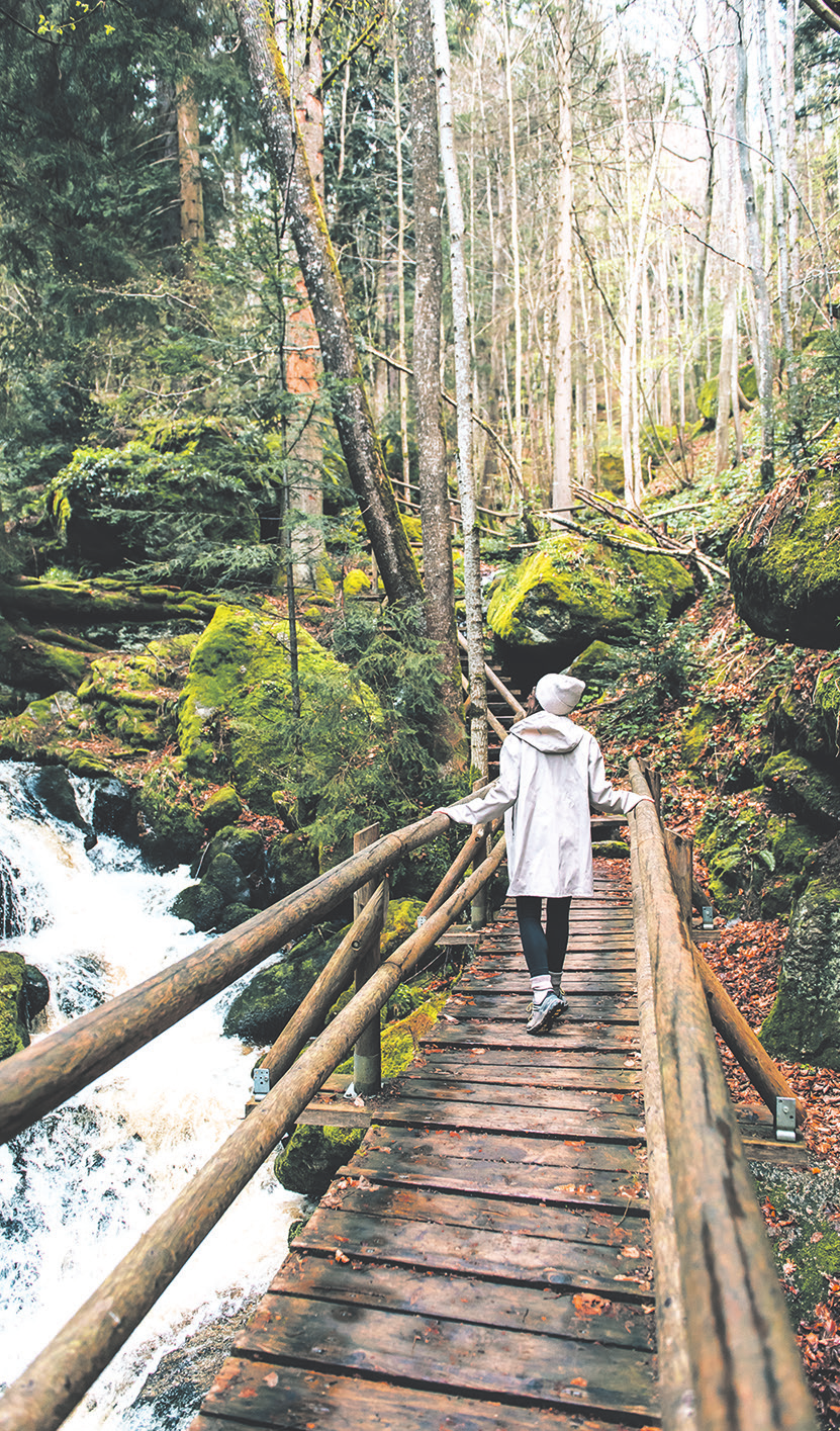 Wandern in Niederösterreich - das bedeutet spektakuläre Bergtouren mit atemberaubenden Ausblicken, aber auch tiefes Eintauchen in unberührte Natur. Foto: Niederösterreich Werbung/ Robin Uthe Foto: Waldviertel Tourismus, sommertage.com 