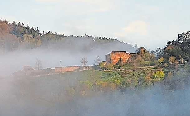 Die Wolfsburg thront über der Stadt Neustadt an der Weinstraße. FOTO: MARKUS PACHER