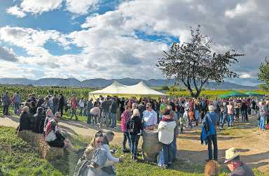 Weinproben vor Reben: Besucher in Kirrweiler. Foto: frei