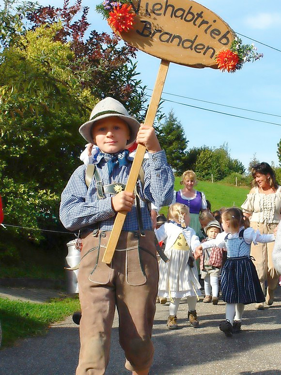 Kinder und Erwachsene in Tracht begleiten die Rinder. FOTO: PRIVAT