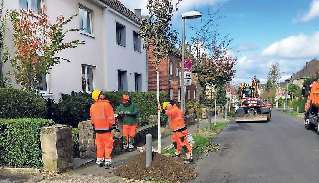 Auftakt der großen Pflanzaktion war in Brand.