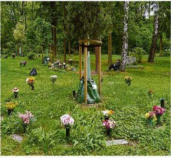 Auf besonderen Plätzen der Friedhöfe sind die Urnengräber strahlenförmig angelegt. Fotos: C. Rößger