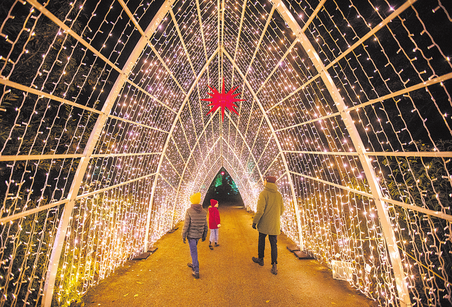 Foto: Christmas Garden/Rainer Keuenhof