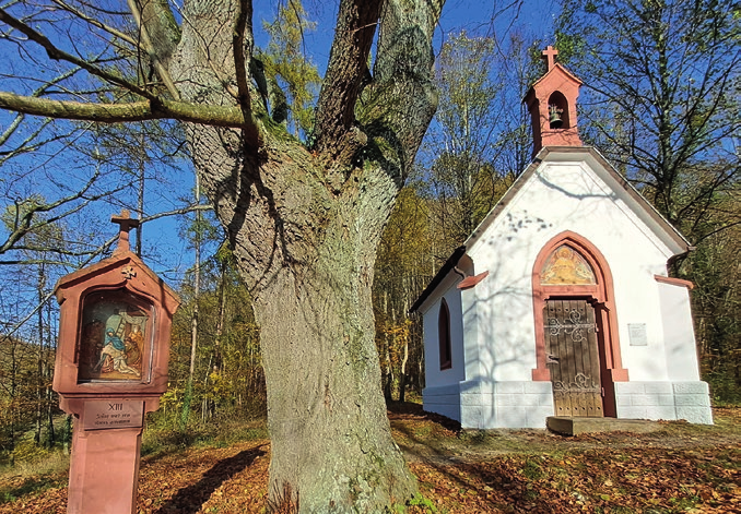 9 Brunnbühlkapelle Bad Ditzenbach