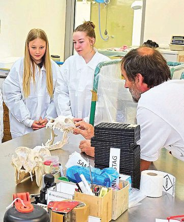 Interessierte Schülerinnen besuchten die AGES Fotos: Land Tirol/Girls' Day