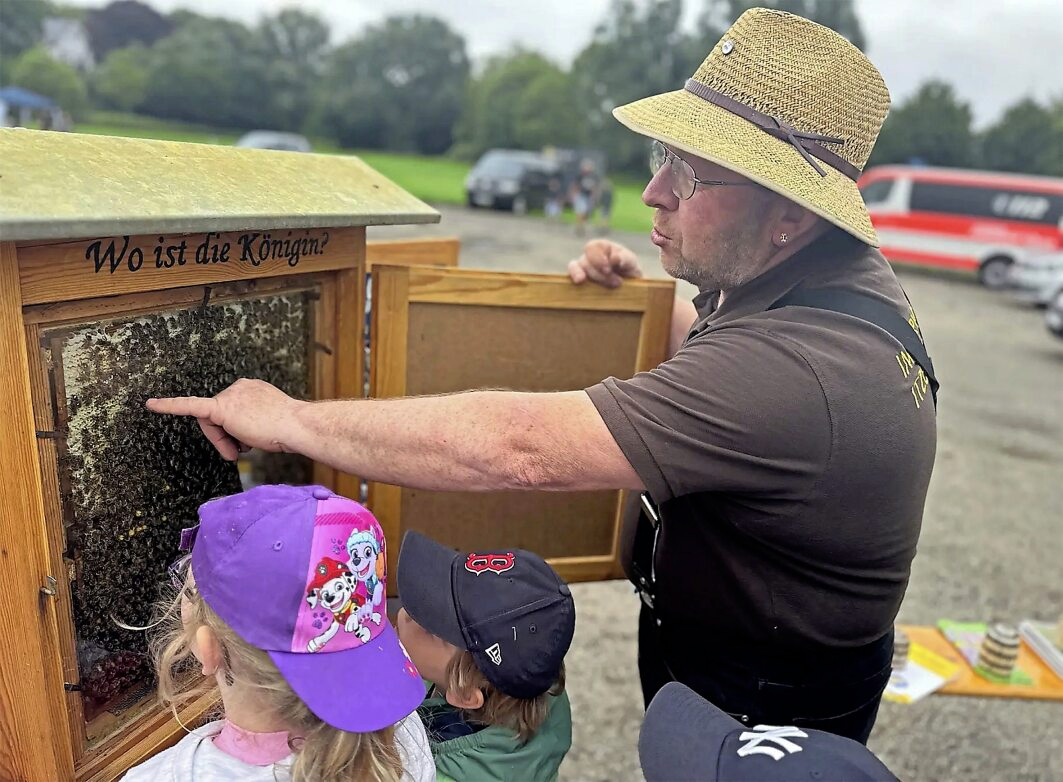 Im letzten Jahr half Imker Thomas Herbst den Kindern beim Suchen der Königin.