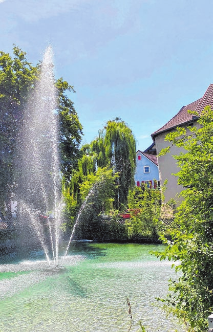 Zur Schlossanlage in Hirrlingen gehört auch noch der Schlossweiher.