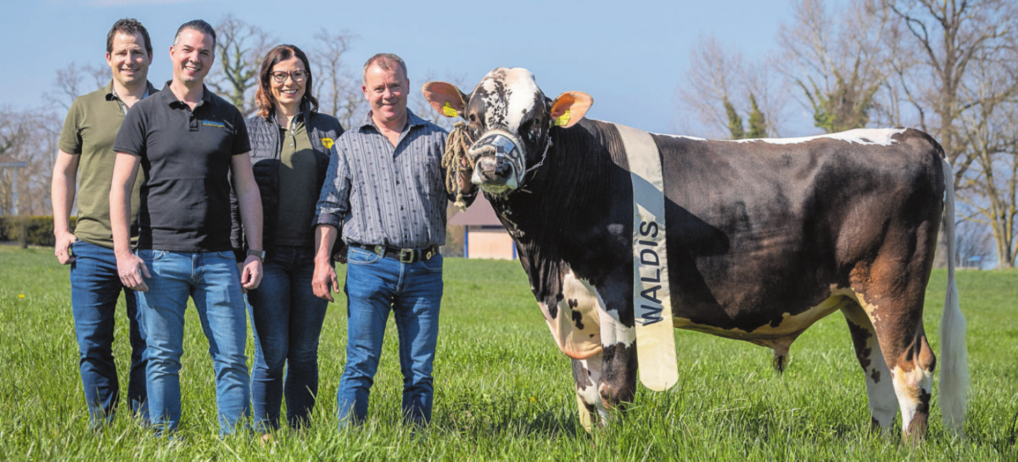 Der Sieger-Muni Waldis mit seinem Züchter und dem Sponsor. Bild: zvg