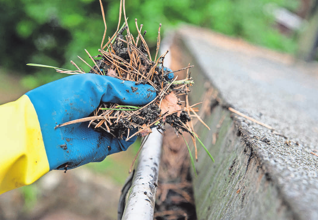Die Dachrinne sollte regelmäßig gereinigt werden. Foto: Andrea Warnecke/dpa