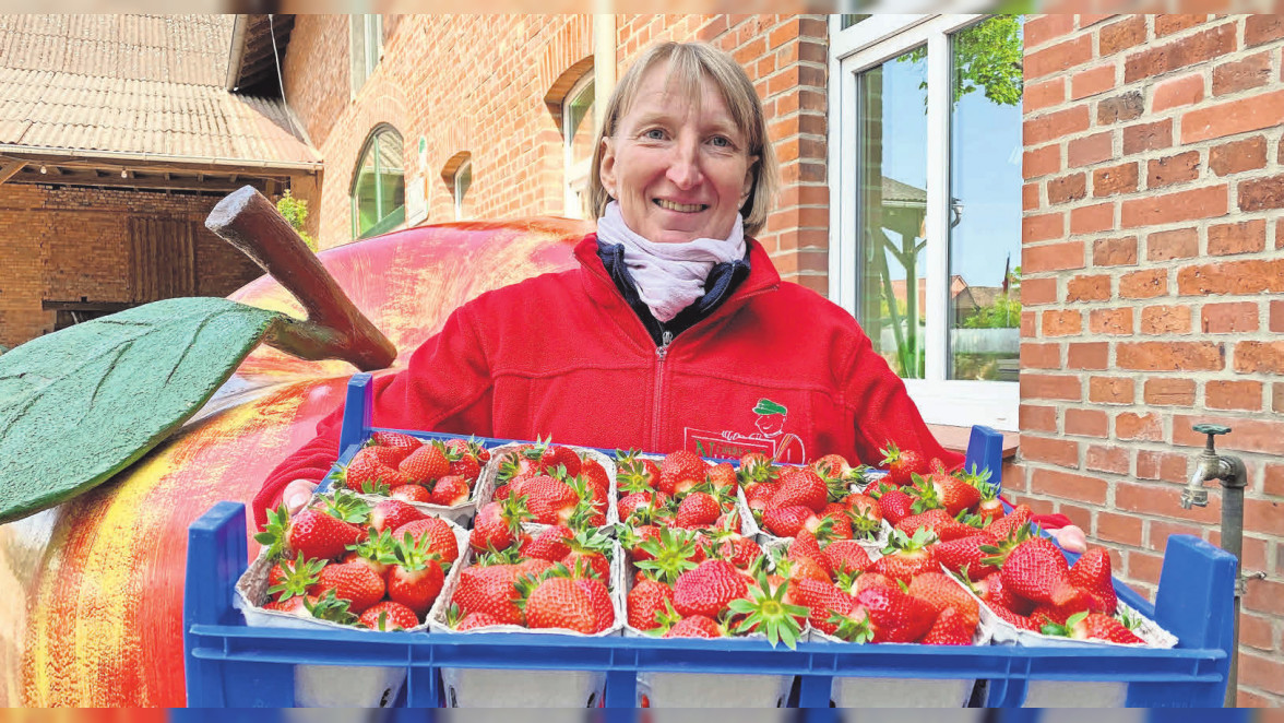 Der Frühling lockt auf dem Lehrter Nöhrenhof mit Erdbeeren und Spargel 