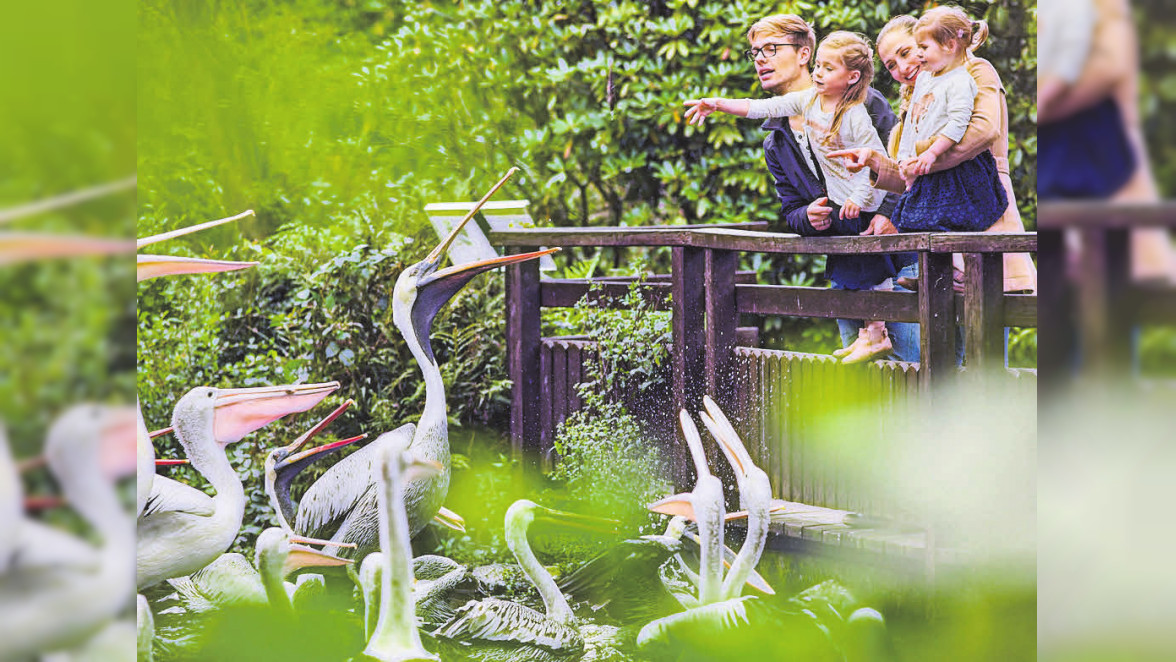 Weltvogelpark in Walsrode: Auf Federfühlung mit 650 Vogelarten