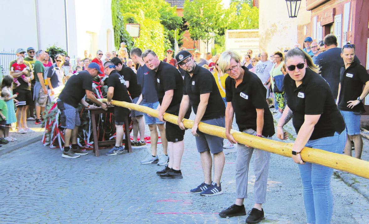 Kerb Meerholz 2023: Der Kerbbaum wird aufgestellt.