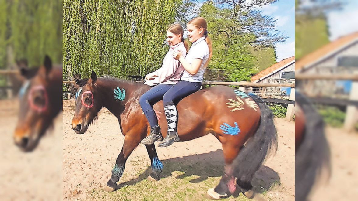 Das Glück der Erde... Pferdegestütztes Coaching mit Carola Rostek in Berkenthin 