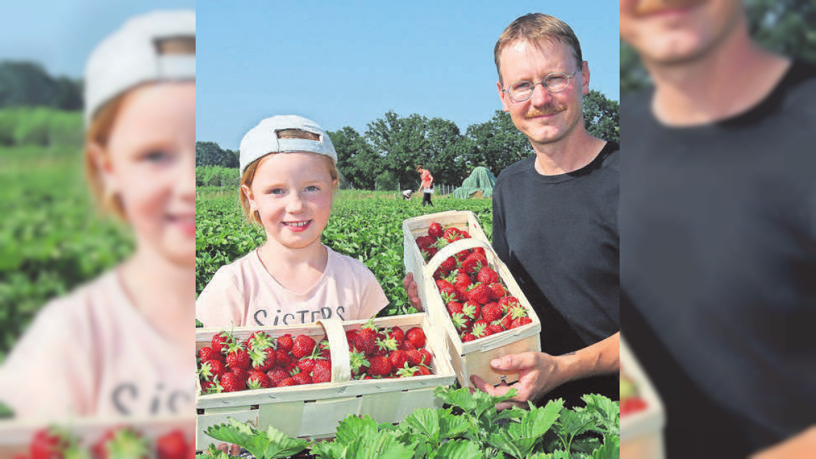 Themenwelten - Erdbeeren zum Selberpflücken in Frohburg/Benndorf