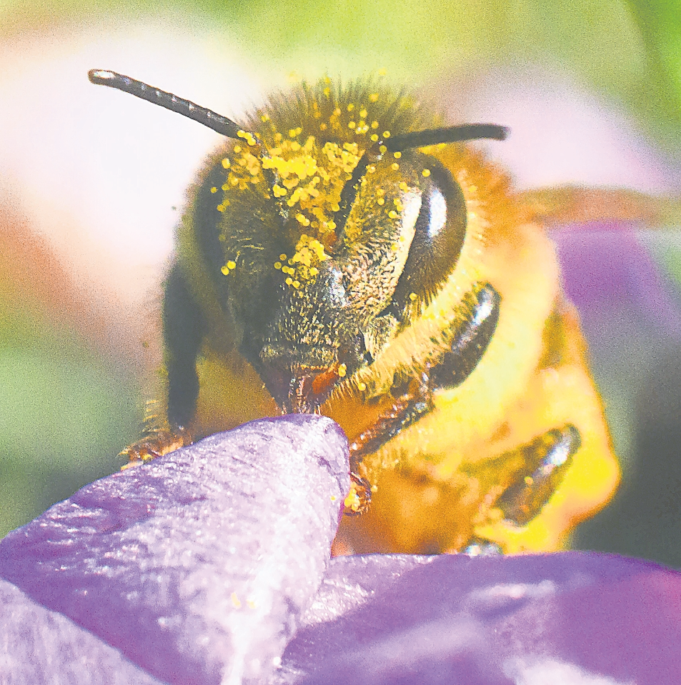 FOTO: JULIAN STRATENSCHULTE/DPA/DPA-TMN