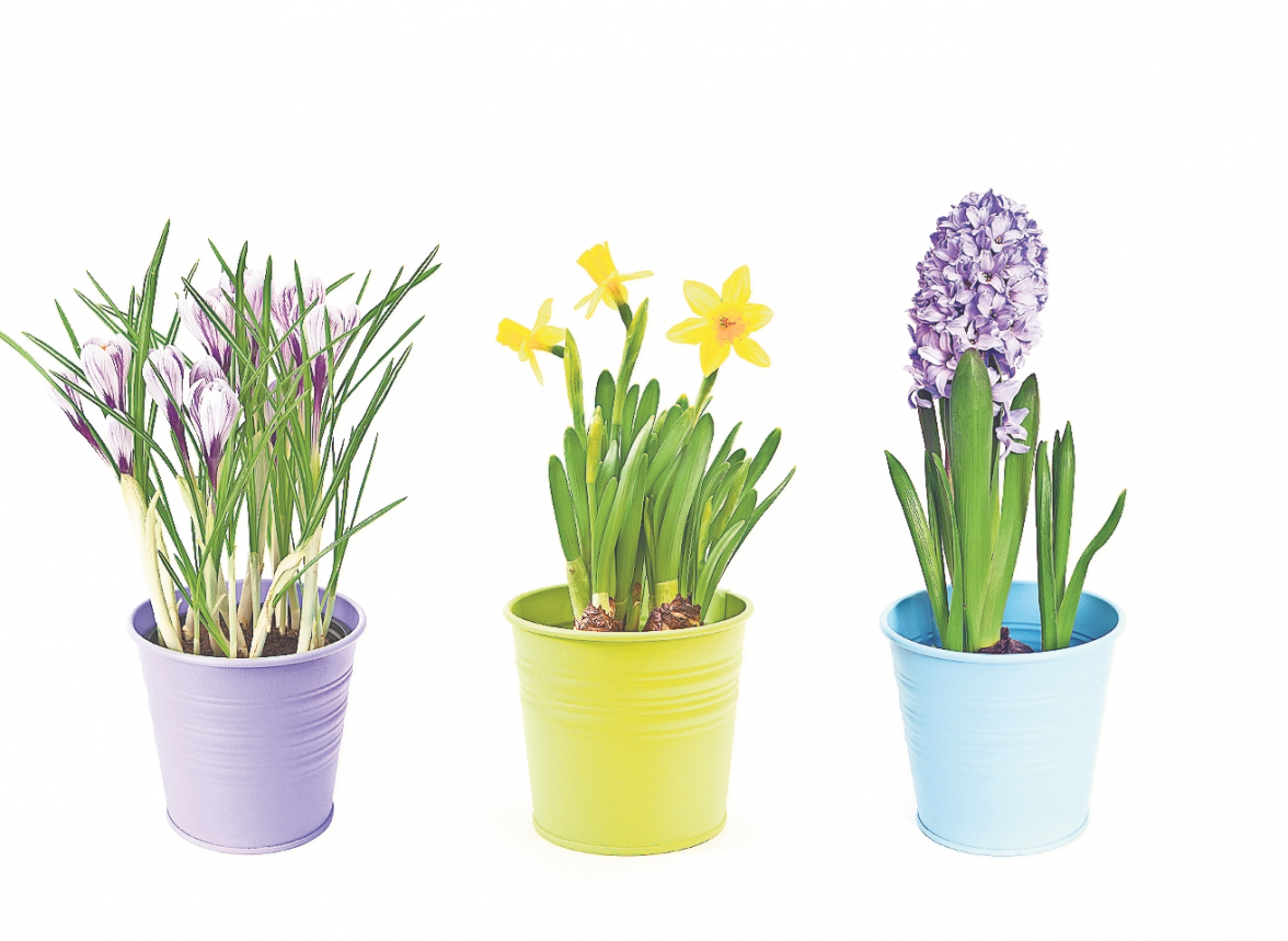 FOTO: ANRYMOS - STOCK.ADOBE.COM