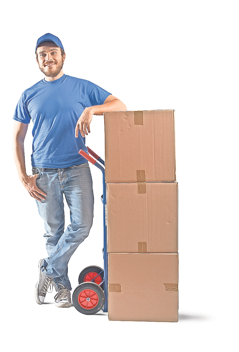 5% Logistik. FOTO: ALPHASPIRIT - STOCK.ADOBE.COM
