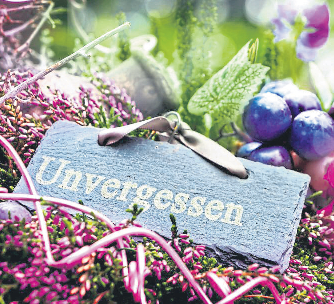 Foto: fotoknips - stock.adobe.com