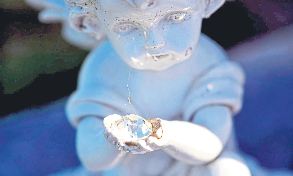 Foto: christiane65 - stock.adobe.com