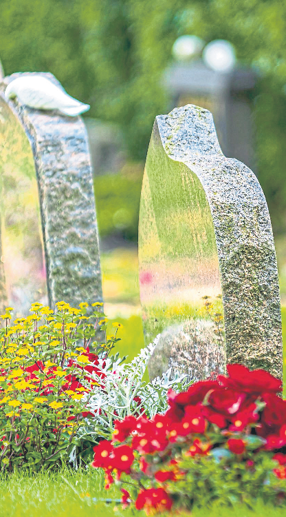 Foto: Magnus - stock.adobe.com
