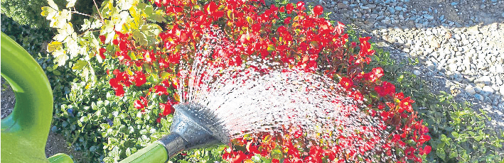 Eine rechtzeitig geplante Wasserversorgung kann helfen, dass die Grabstätte auch während einer Urlaubszeit gepflegt bleibt. Foto: oGi - stock.adobe.com