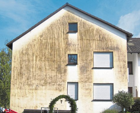 Foto: Maler Nisius GmbH & Co. KG