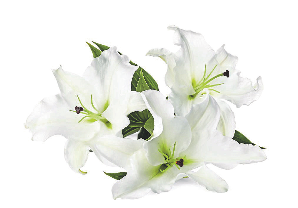 Foto: New Africa - stock.adobe.com